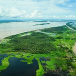 Protetor da Amazônia