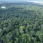 Embaixador da Amazônia