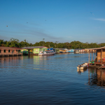 Parceiro Sustentável